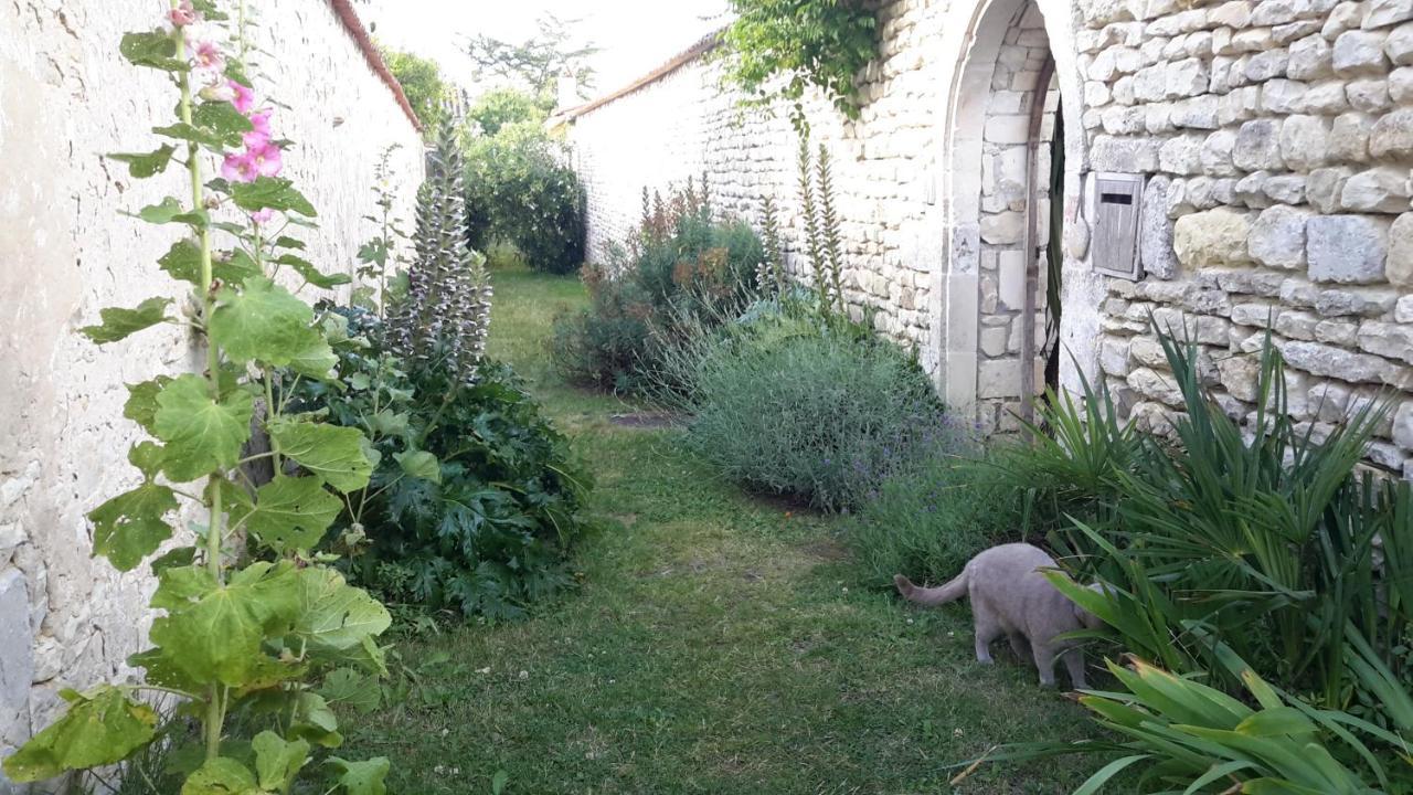 Les Jardins De Clerjotte Bed and Breakfast Saint-Martin-de-Ré Eksteriør billede